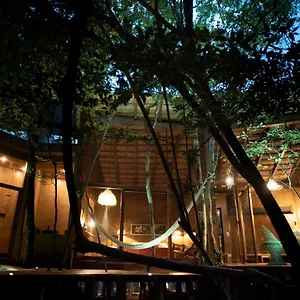 ojo-de-rbol-boutique-cabin-in-the-jungle-relax.tulum-hotels.net/