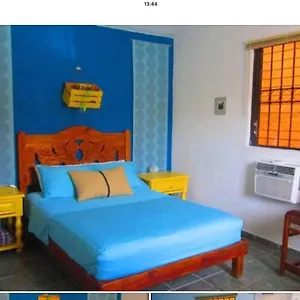 book here